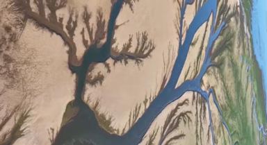 太震撼！鄱陽湖現(xiàn)“大地之樹”景觀