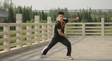 "中國功夫不僅是技術(shù),更是生活態(tài)度"